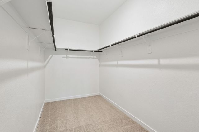 18746 Timber Glen Drive, Montgomery, TX 77316