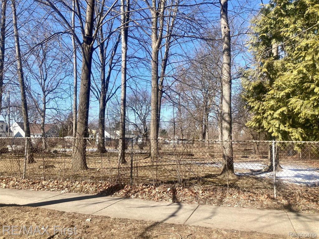 Vac Albert Avenue, Royal Oak, MI 48073