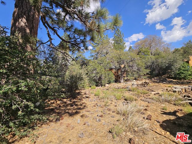 845 Moreno Lane, Sugarloaf, CA 92386