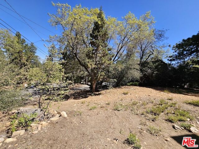 845 Moreno Lane, Sugarloaf, CA 92386