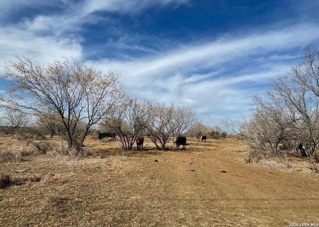 3968 Bluntzer Rd, Jourdanton, TX 78026