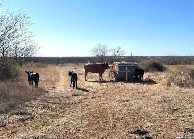 3968 Bluntzer Rd, Jourdanton, TX 78026