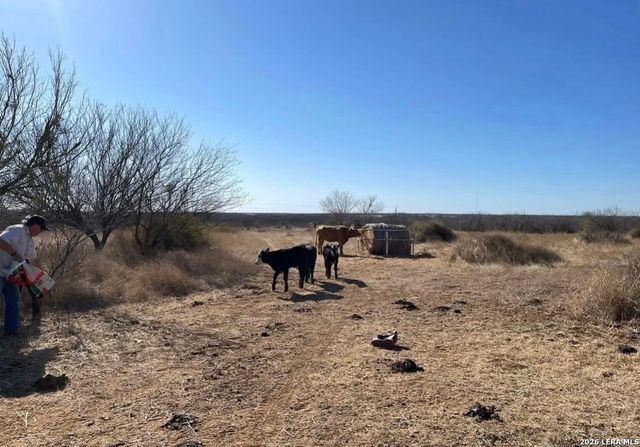 3968 Bluntzer Rd, Jourdanton, TX 78026