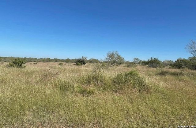 3968 Bluntzer Rd, Jourdanton, TX 78026