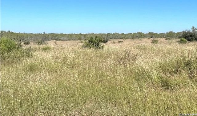 3968 Bluntzer Rd, Jourdanton, TX 78026