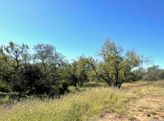 3968 Bluntzer Rd, Jourdanton, TX 78026