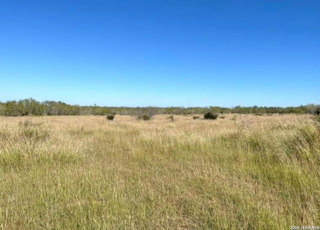 3968 Bluntzer Rd, Jourdanton, TX 78026