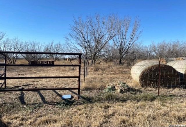 3968 Bluntzer Rd, Jourdanton, TX 78026