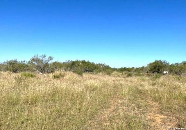 3968 Bluntzer Rd, Jourdanton, TX 78026