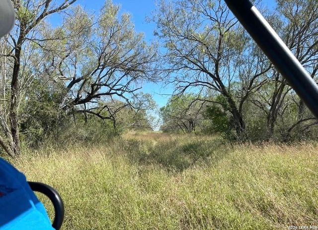 3968 Bluntzer Rd, Jourdanton, TX 78026