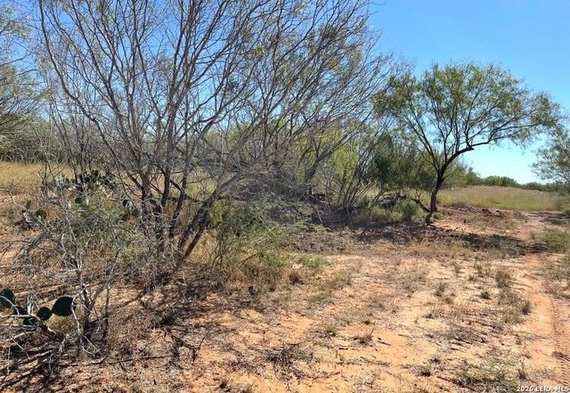 3968 Bluntzer Rd, Jourdanton, TX 78026