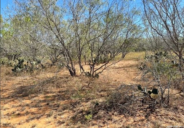 3968 Bluntzer Rd, Jourdanton, TX 78026