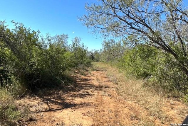 3968 Bluntzer Rd, Jourdanton, TX 78026