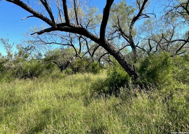 3968 Bluntzer Rd, Jourdanton, TX 78026