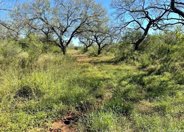 3968 Bluntzer Rd, Jourdanton, TX 78026
