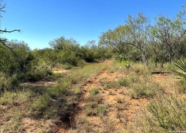 3968 Bluntzer Rd, Jourdanton, TX 78026