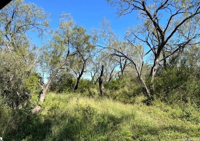 3968 Bluntzer Rd, Jourdanton, TX 78026