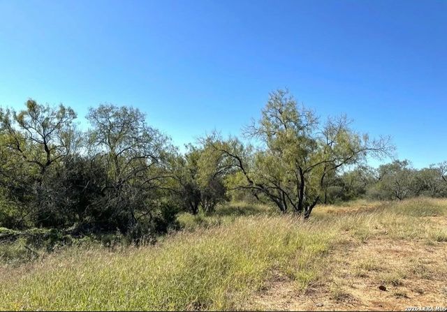 3968 Bluntzer Rd, Jourdanton, TX 78026