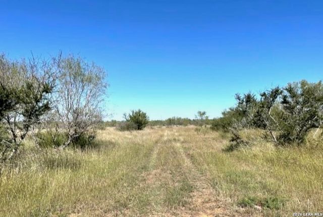 3968 Bluntzer Rd, Jourdanton, TX 78026