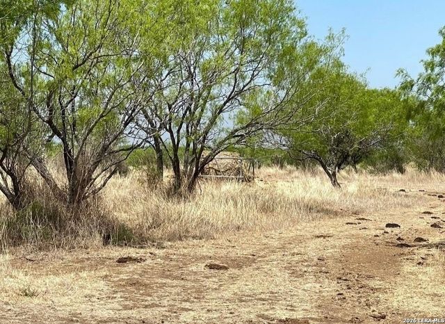 3968 Bluntzer Rd, Jourdanton, TX 78026