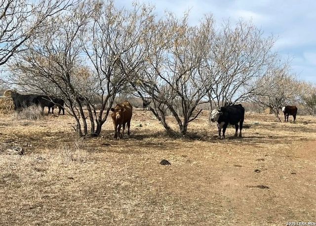 3968 Bluntzer Rd, Jourdanton, TX 78026