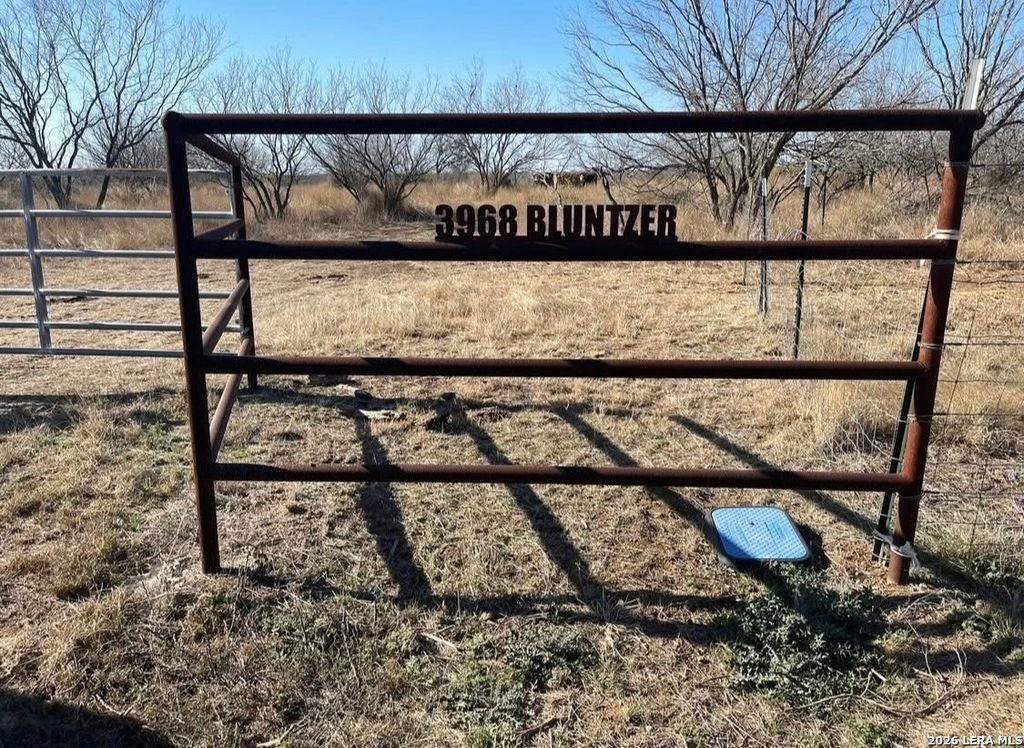 3968 Bluntzer Rd, Jourdanton, TX 78026