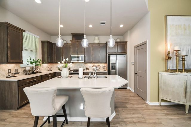 243 S Spotted Fern Drive, Montgomery, TX 77316
