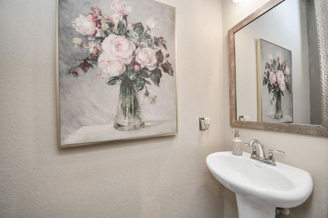 243 S Spotted Fern Drive, Montgomery, TX 77316
