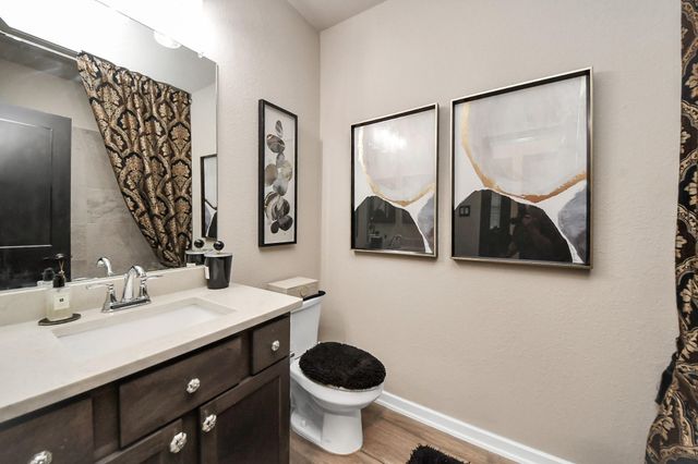 243 S Spotted Fern Drive, Montgomery, TX 77316