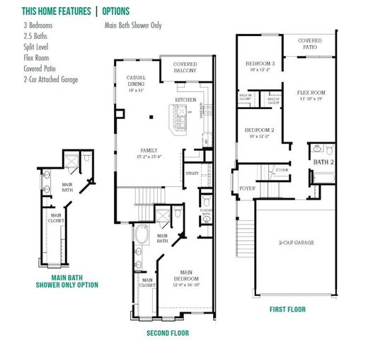 243 S Spotted Fern Drive, Montgomery, TX 77316