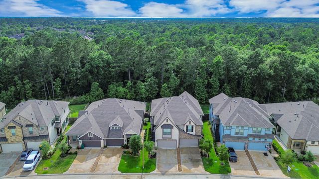 243 S Spotted Fern Drive, Montgomery, TX 77316