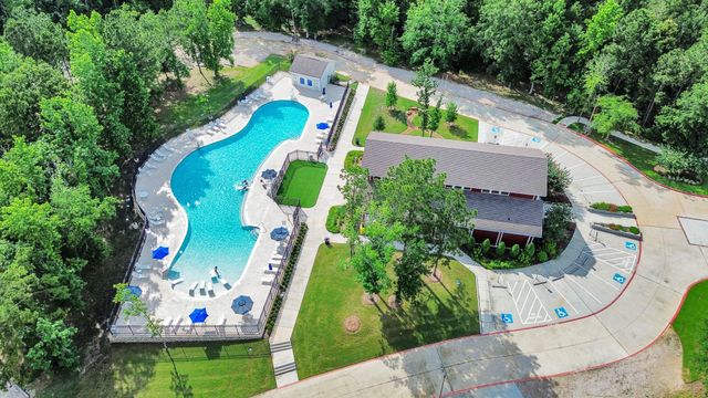 243 S Spotted Fern Drive, Montgomery, TX 77316