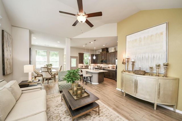 243 S Spotted Fern Drive, Montgomery, TX 77316