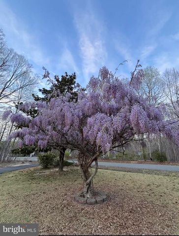259 DAVID RD, Mineral, VA 23117