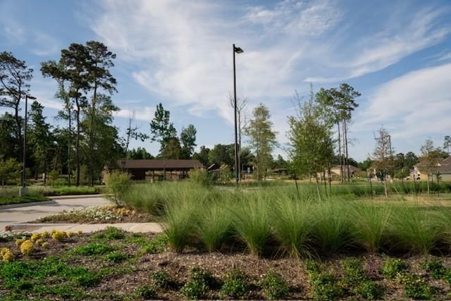 2533 Sturgeon Way, Conroe, TX 77384