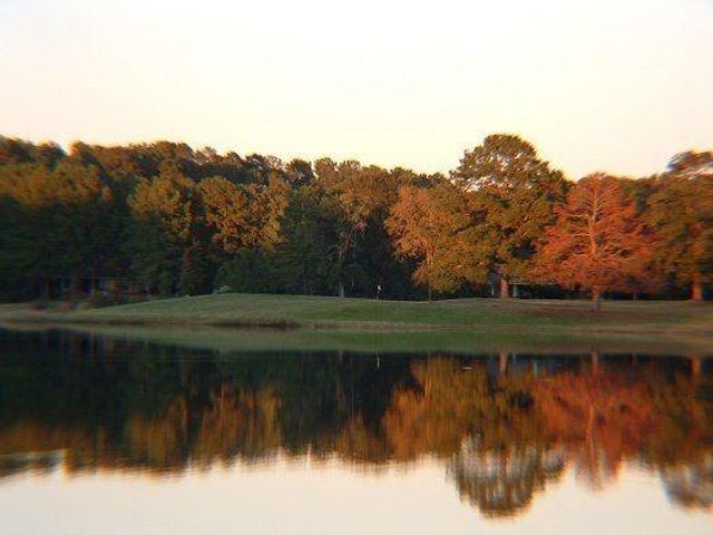 74 Forest Hollow,, Trinity, TX 75862
