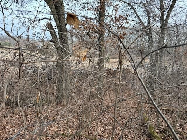 XXXX 273rd Ave NW, Livonia Twp, MN 55330