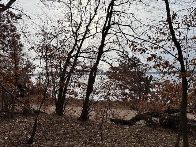 XXXX 273rd Ave NW, Livonia Twp, MN 55330