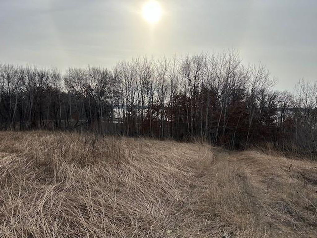 XXXX 273rd Ave NW, Livonia Twp, MN 55330 — photo 3
