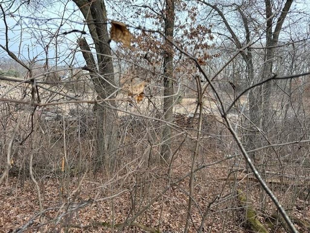 XXXX 273rd Ave NW, Livonia Twp, MN 55330 — photo 4