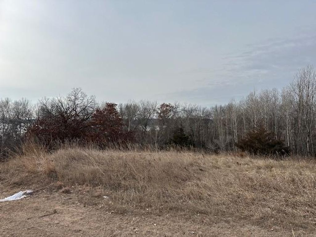 XXXX 273rd Ave NW, Livonia Twp, MN 55330 — photo 5