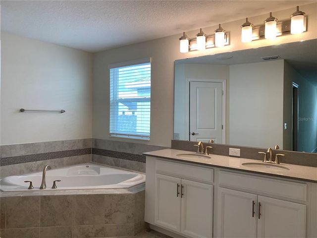 12114 SATIRE STREET, Orlando, FL 32832