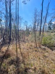 0 Fm 2262, Groveton, TX 75845