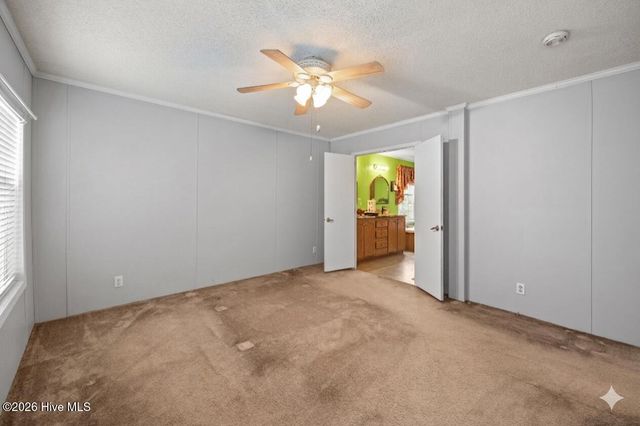 121 Bogue Forest Court, Newport, NC 28570