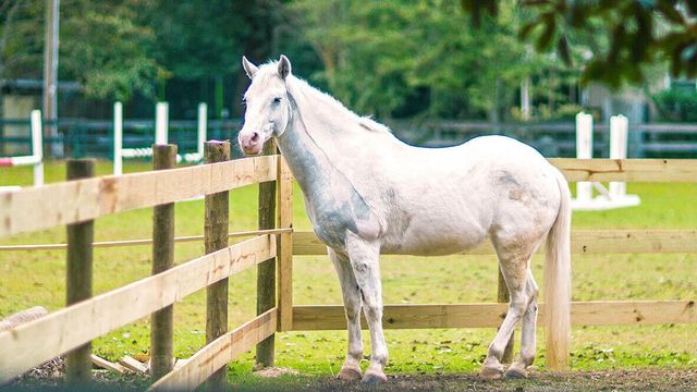 3013 Fancy Trail, Aiken, SC 29803