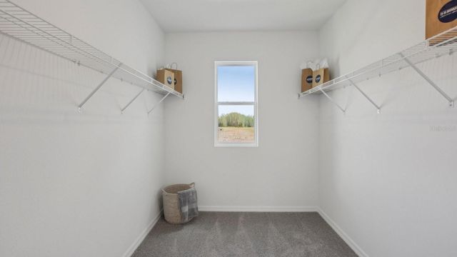 4536 HIDDEN FARM DRIVE, Plant City, FL 33565