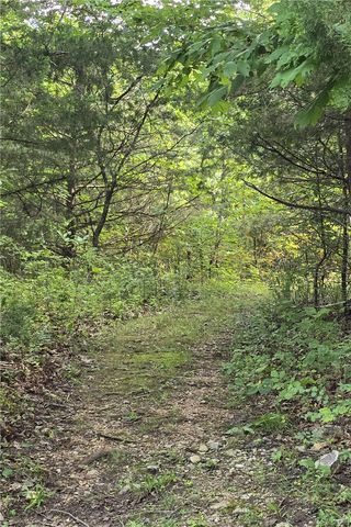 1825 County Road 323, Eureka Springs, AR 72632