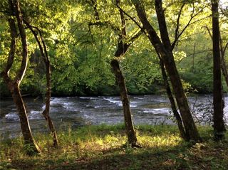 0 Lawrence Road, Dawsonville, GA 30534