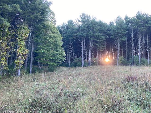 TBD Reedsville RD, Floyd, VA 24091