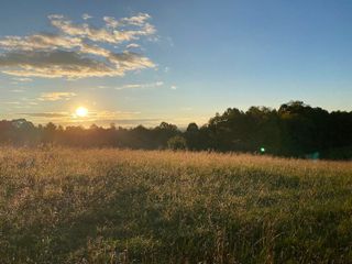 TBD Reedsville RD, Floyd, VA 24091